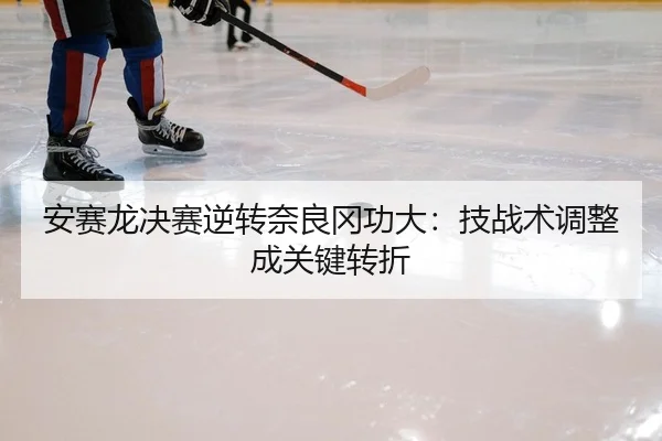 an-sai-long-jue-sai-ni-zhuan-nai-liang-gang-gong-da-ji-zhan-shu-tiao-zheng-cheng-guan-jian-zhuan-zhe-2-359.jpg
