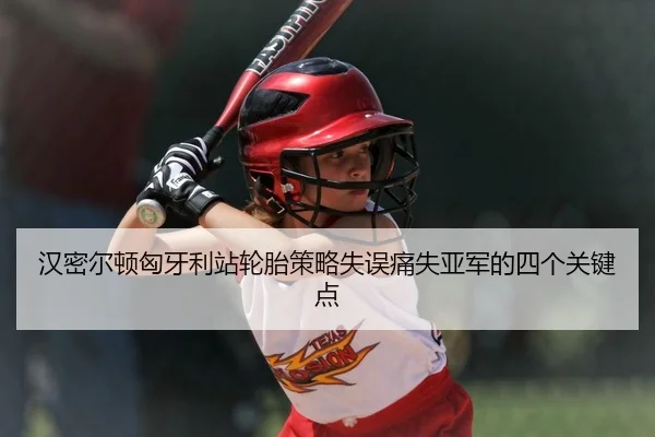 汉密尔顿匈牙利站轮胎策略失误痛失亚军的四个关键点